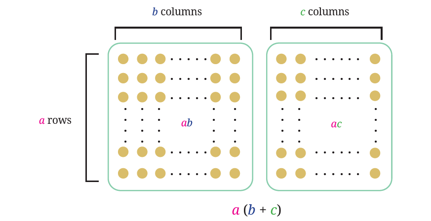 fig1