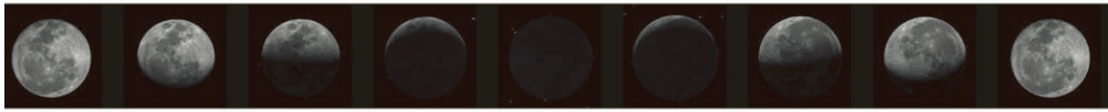 Screenshot 2026-02-17 123205