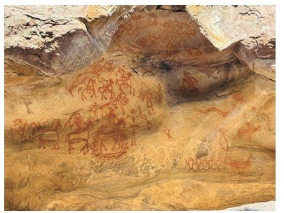Image7