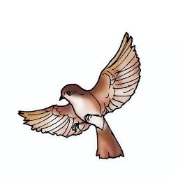 Image4