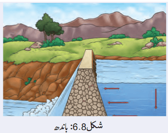 Screenshot 2026-03-19 at 11-47-55 Chapter 6.pdf