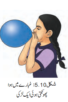 Screenshot 2026-03-19 at 16-05-57 Chapter 6.pdf