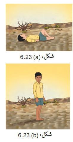 Screenshot 2026-03-20 at 09-41-39 Chapter 6.pdf