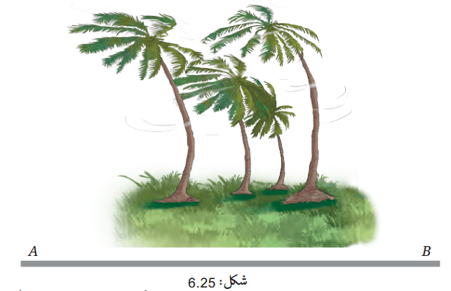 Screenshot 2026-03-20 at 09-43-19 Chapter 6.pdf