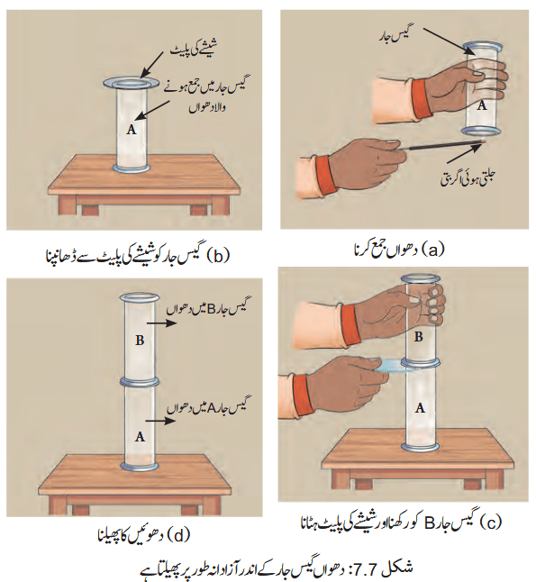 Screenshot 2026-03-20 at 11-16-54 Chapter 7.pdf