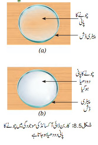 Screenshot 2026-03-27 at 16-34-01 Chapter 8.pdf