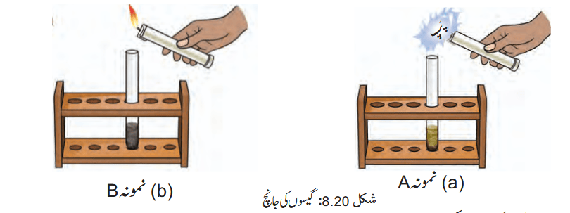 Screenshot 2026-03-30 at 14-25-54 Chapter 8.pdf