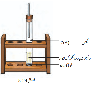 Screenshot 2026-04-08 at 09-51-22 Chapter 8.pdf