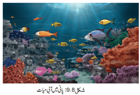 Screenshot 2026-04-08 at 12-15-11 Chapter 9.pdf