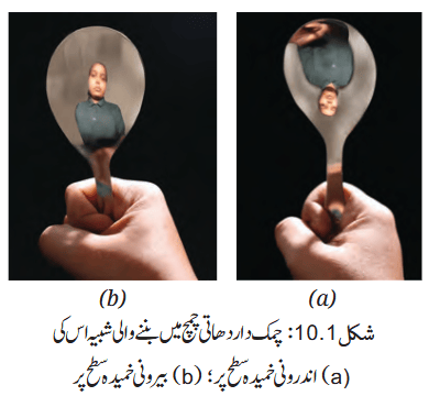 Screenshot 2026-04-08 at 16-59-33 Chapter 10.pdf