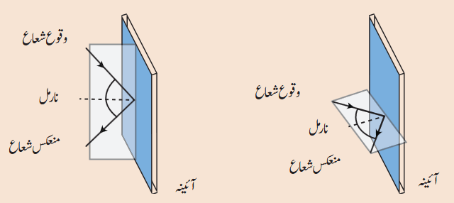 Screenshot 2026-04-09 at 09-53-21 Chapter 10.pdf