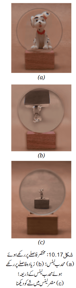 Screenshot 2026-04-09 at 10-48-56 Chapter 10.pdf