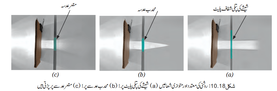 Screenshot 2026-04-09 at 10-49-21 Chapter 10.pdf