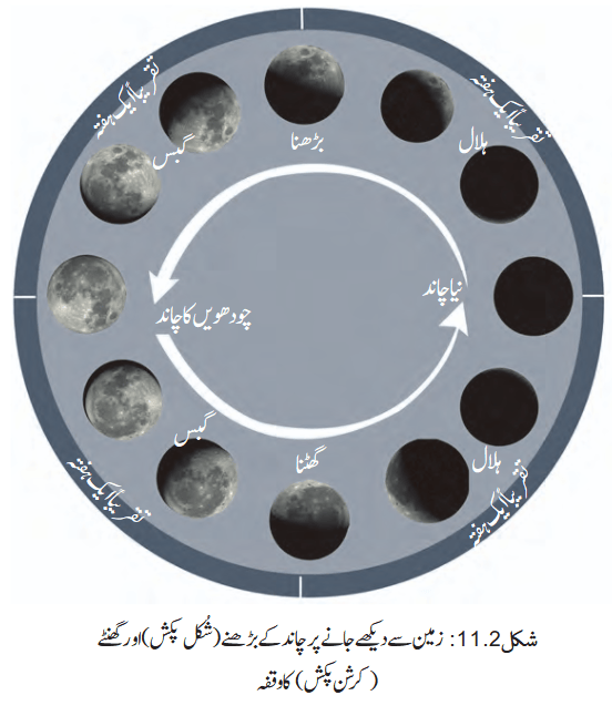Screenshot 2026-04-09 at 12-36-40 Chapter 11.pdf