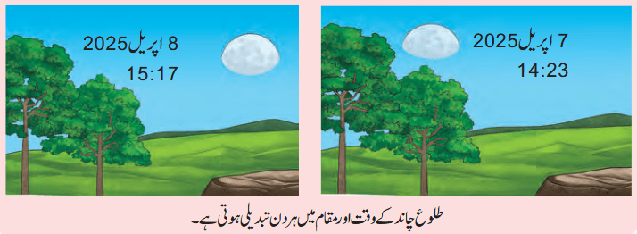 Screenshot 2026-04-09 at 12-41-42 Chapter 11.pdf