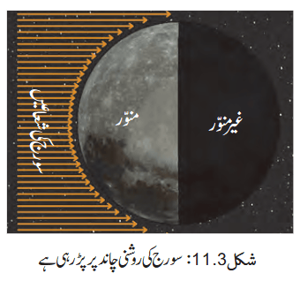 Screenshot 2026-04-09 at 12-42-19 Chapter 11.pdf