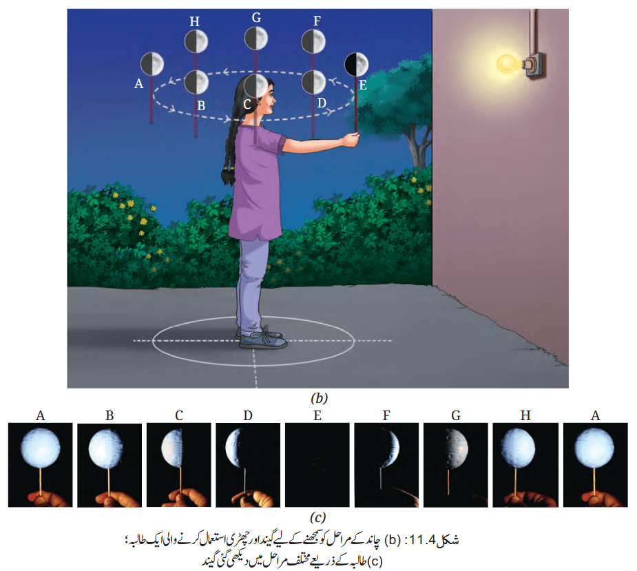 Screenshot 2026-04-09 at 13-46-36 Chapter 11.pdf