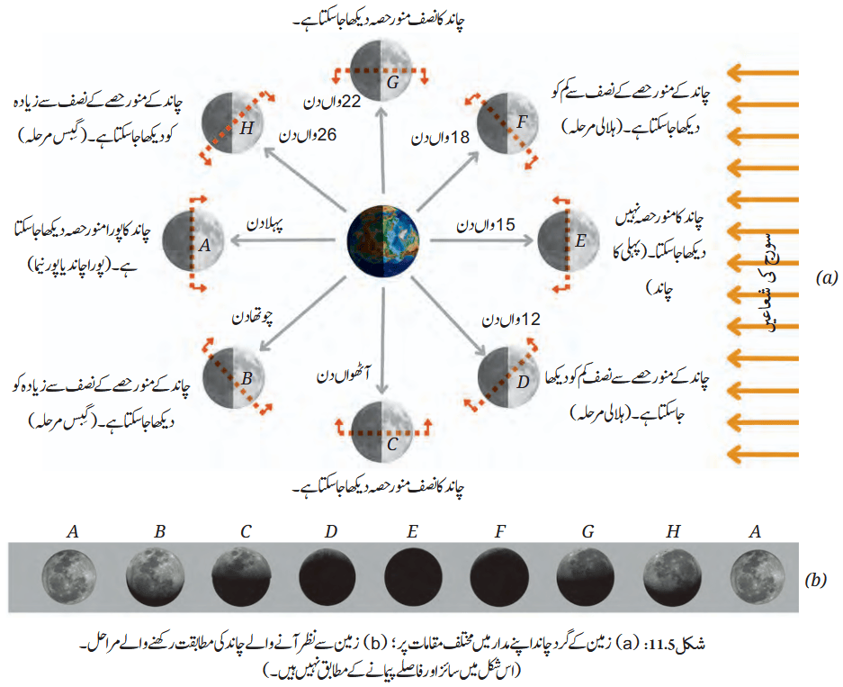 Screenshot 2026-04-09 at 13-47-44 Chapter 11.pdf