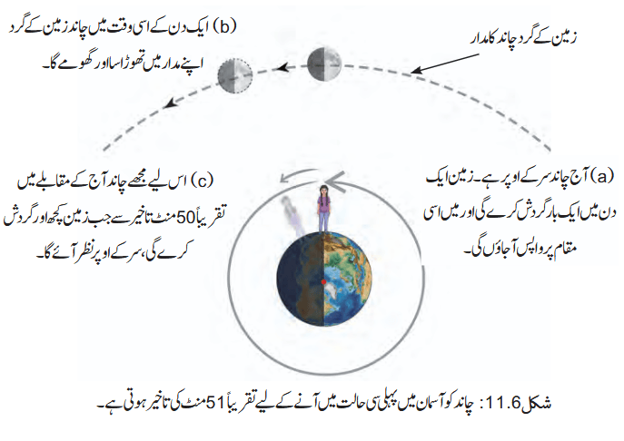 Screenshot 2026-04-09 at 13-50-43 Chapter 11.pdf
