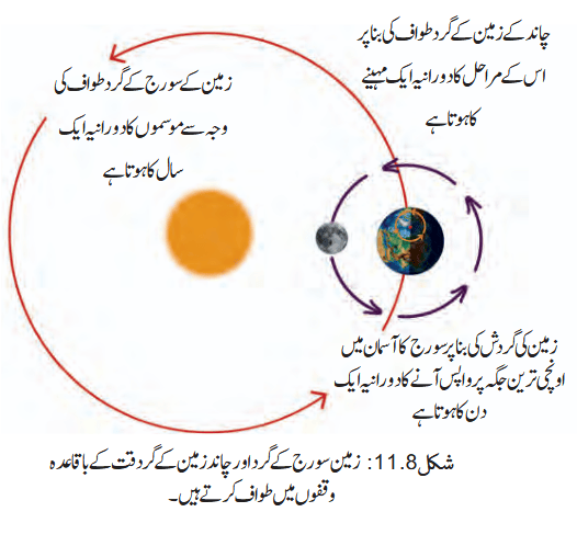Screenshot 2026-04-09 at 14-08-26 Chapter 11.pdf