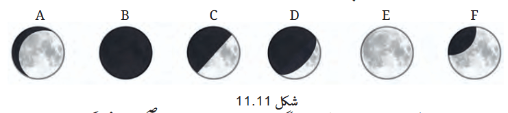 Screenshot 2026-04-09 at 16-26-28 Chapter 11.pdf