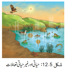 Screenshot 2026-04-10 at 10-17-54 Chapter 12.pdf