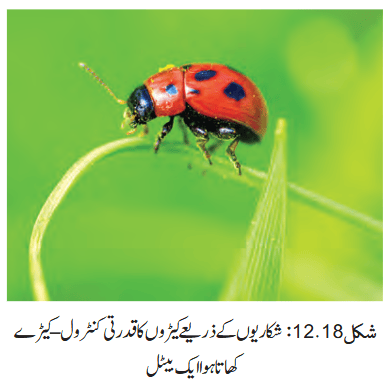 Screenshot 2026-04-10 at 12-35-49 Chapter 12.pdf