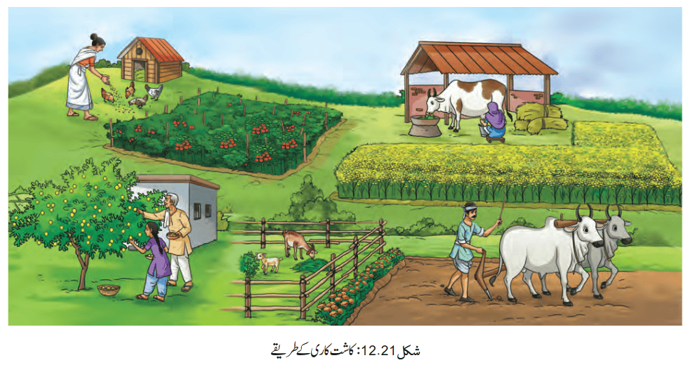Screenshot 2026-04-10 at 14-08-03 Chapter 12.pdf