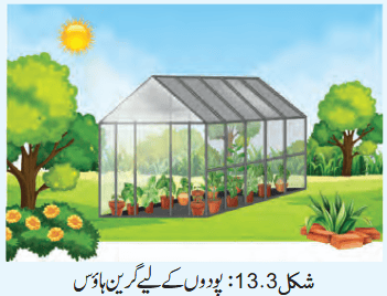 Screenshot 2026-04-13 at 09-23-35 Chapter 13.pdf