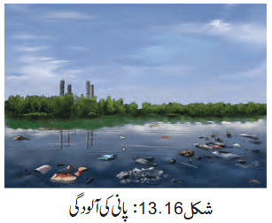 Screenshot 2026-04-13 at 11-50-50 Chapter 13.pdf