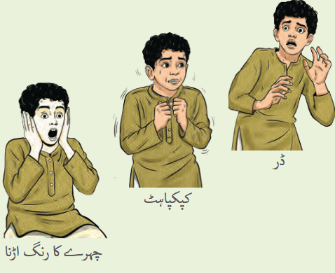Screenshot 2025-12-29 at 11-32-58 4879-Kriti - Textbook of Arts - Urdu Grade 8.pdf