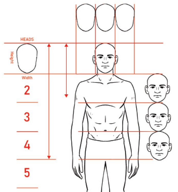 6_-_head_and_body_