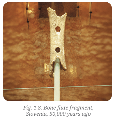 Bone flute fragment from Slovenia