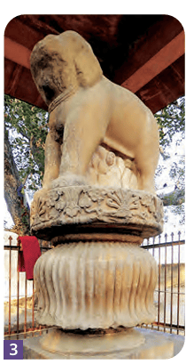 Sankissa elephant capital