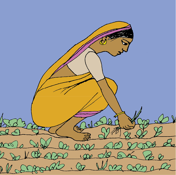 Dryland%20farmer.tif
