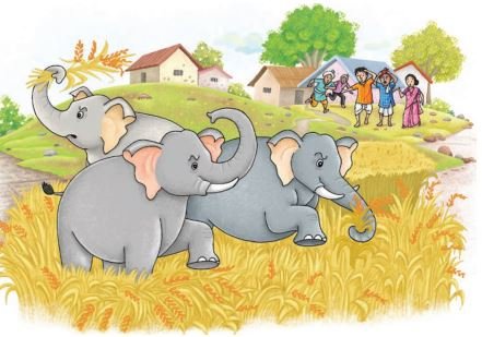elephant