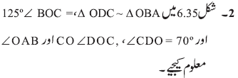 R6-101