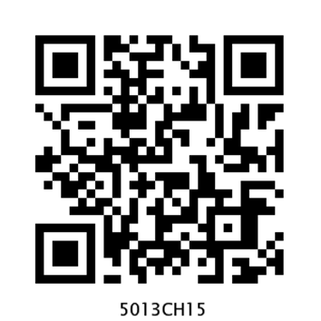 5013CH15