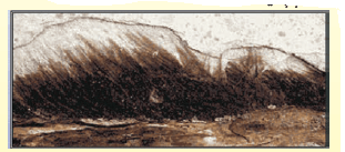 picture 30