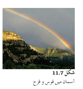 c11.9