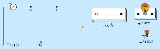 Pic11 Capture12