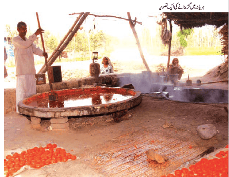 pic12chapter2 maashi