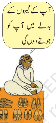 pic3 chapter3 maashi