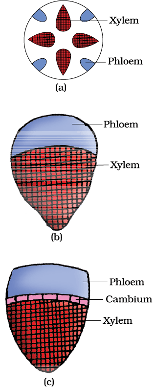2389.png