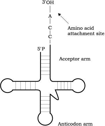 65288.png