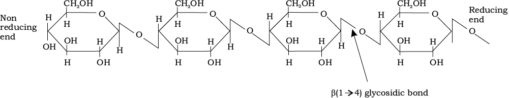 69067.png