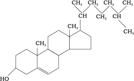 69194.png