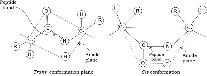 70036.png