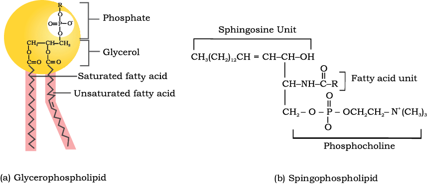 70660.png