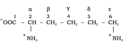 70923.png